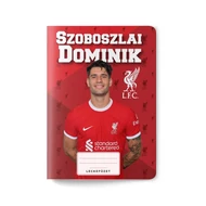 Tűzött füzet