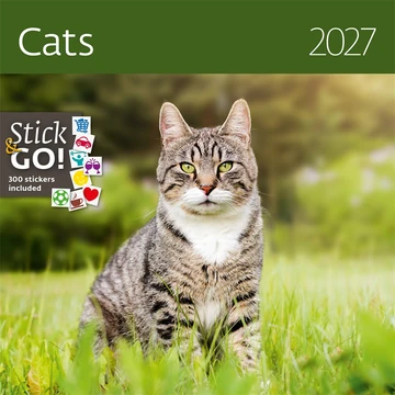 Falinaptár képes 300 x 300 mm, fehér lapokkal Cats Dayliner 2027.