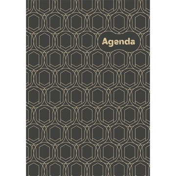 Határidőnapló Colors A5 napi, fehér lapokkal Art Modern Dayliner 2027.