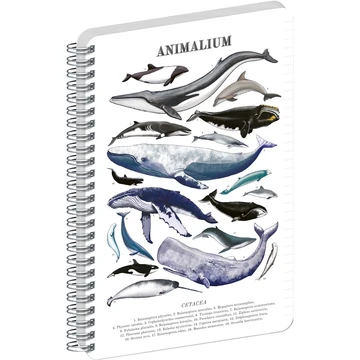 Jegyzetfüzet ikerspirálos Animalium – Marine Life, vonalas, 21x29,7cm A4, Presco