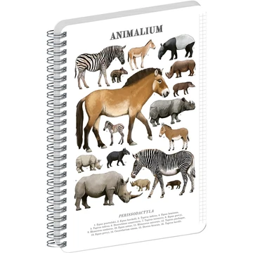 Jegyzetfüzet ikerspirálos Animalium – Perissodactyls, négyzethálós, 14,8x21cm A5, Presco