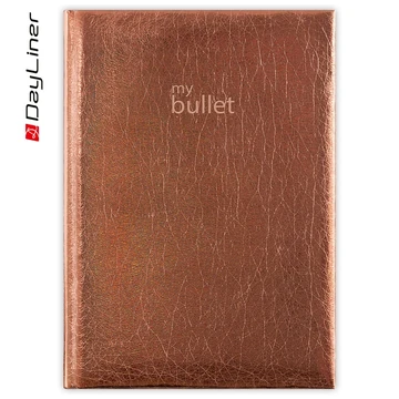 Keménytáblás notesz pontozott vonalozással Mirror A5 Bullet, fehér lapokkal bronz Dayliner 2027.