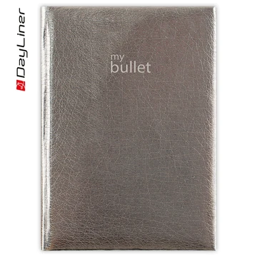Keménytáblás notesz pontozott vonalozással Mirror A5 Bullet, fehér lapokkal ezüst Dayliner 2027.
