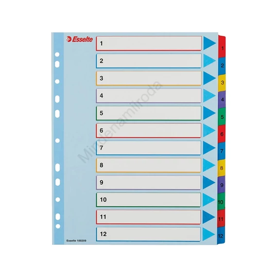 Elválasztólap, A4, Maxi regiszteres 1-12 laminált karton előlap 100209 Esselte