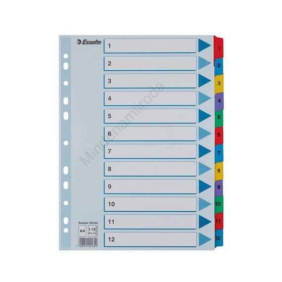 Elválasztólap, A4, regiszteres 1-12 laminált karton fülek 100162 Esselte