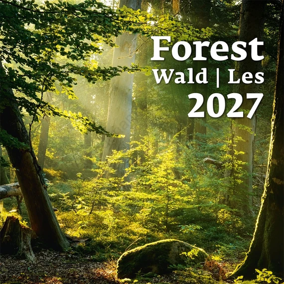 Falinaptár képes 300 x 300 mm, fehér lapokkal Forest Dayliner 2027.
