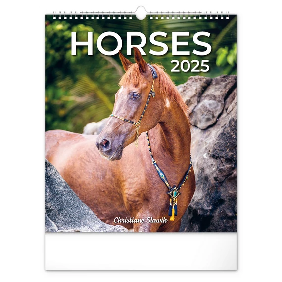Falinaptár képes  300x340mm Horses Realsystem 2026.
