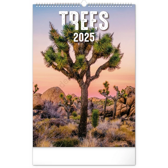 Falinaptár képes  330×460mm Trees  Realsystem 2026.