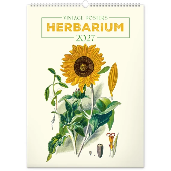 Falinaptár képes  330×460mm Vintage Posters-Herbarium Realsystem 2027.