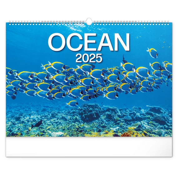 Falinaptár képes  480×330mm Ocean Wildlife Realsystem 2026.
