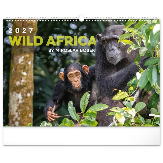 Falinaptár képes  480x330mm Wild Africa Realsystem 2027.