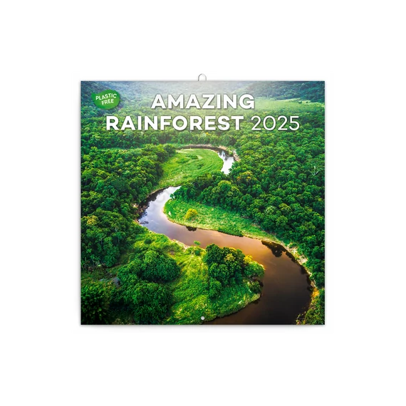 Falinaptár képes lemeznaptár 300x300mm, Amazing Rainforest Realsystem 2026.