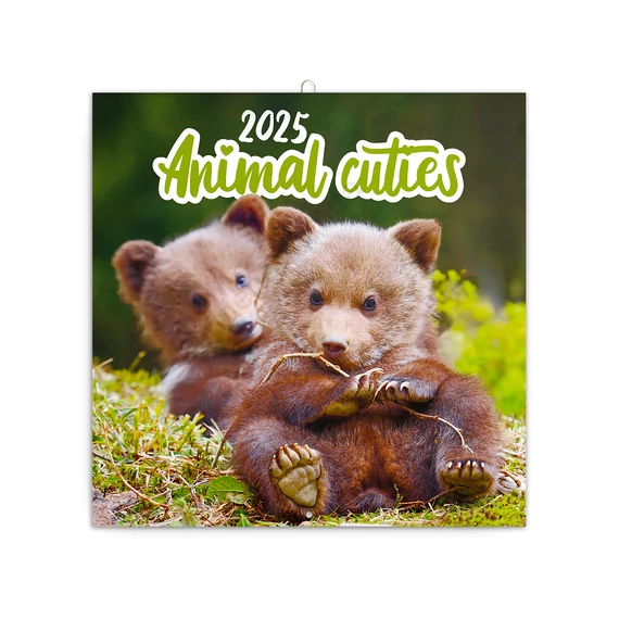 Falinaptár képes lemeznaptár 300x300mm, Animal Cuties Realsystem 2026.