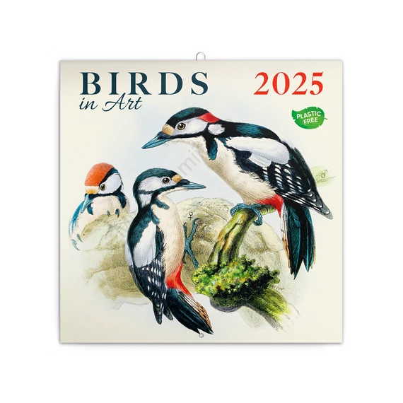 Falinaptár képes lemeznaptár 300x300mm, Birds in Art Realsystem 2026.