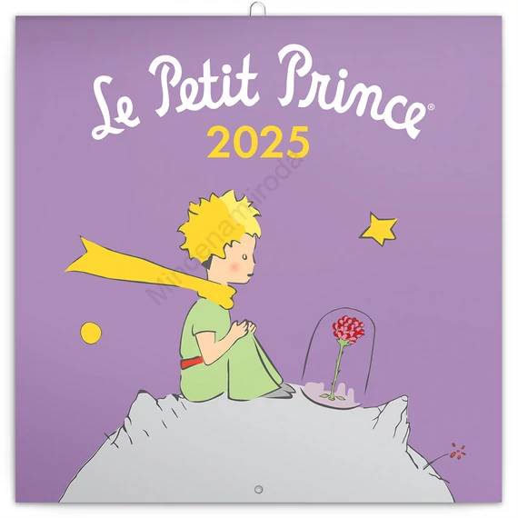 Falinaptár képes lemeznaptár 300x300mm, Le Petit Prince Realsystem 2026.