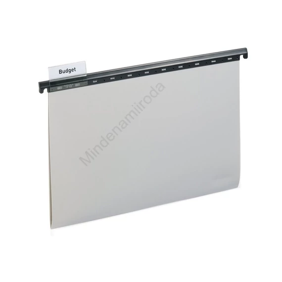 Függőmappa A4, PP, Durable, szürke