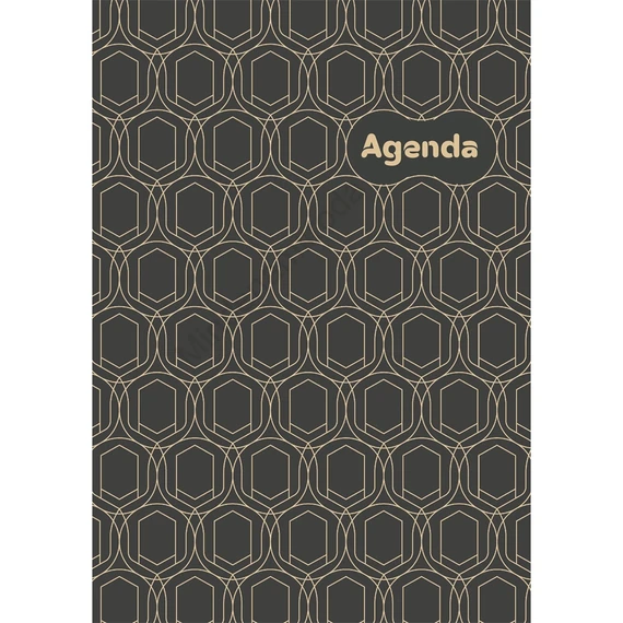 Határidőnapló Colors A5 napi, fehér lapokkal Art Modern Dayliner 2027.