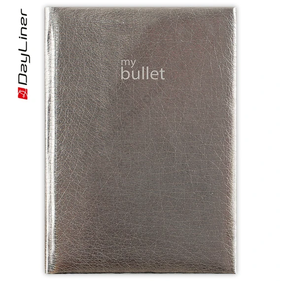 Keménytáblás notesz pontozott vonalozással Mirror A5 Bullet, fehér lapokkal ezüst Dayliner 2027.