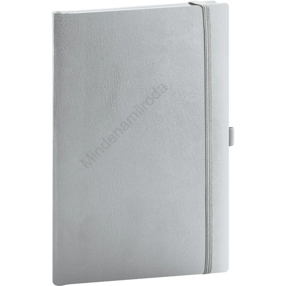 Klasszikus notesz Balacron borítással silver, pontozott, 15x21cm, Presco