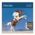 Falinaptár képes 300 x 300 mm, fehér lapokkal Horses Dayliner 2027.