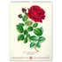 Falinaptár képes  330×460mm Vintage Posters-Herbarium Realsystem 2027.
