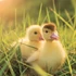 Falinaptár képes lemeznaptár 300x300mm, Animal Cuties Realsystem 2027.