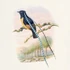 Falinaptár képes lemeznaptár 300x300mm, Birds in Art Realsystem 2027.
