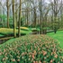 Falinaptár képes lemeznaptár 300x300mm, Gardens Realsystem 2027.