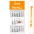 Speditőr naptár3 tömb 3 hónap Medium Classic 350 × 820 mm üres fejrész Dayliner 2024.